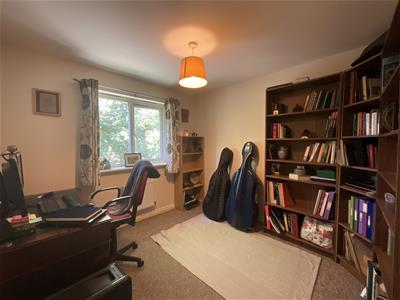 Picture 23